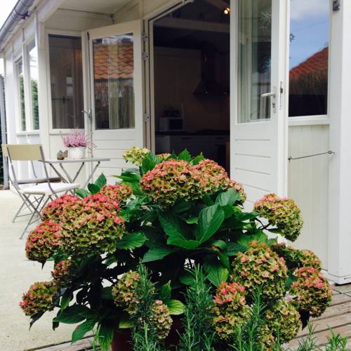 Zandvoort Netherlands book hotel discount code booking.com